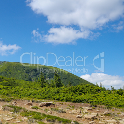 Mountain view from the top of Goverli, Carpathians