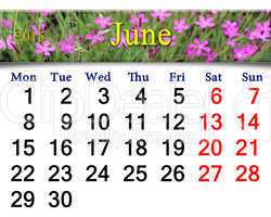 calendar for July of 2015 year with wild carnation