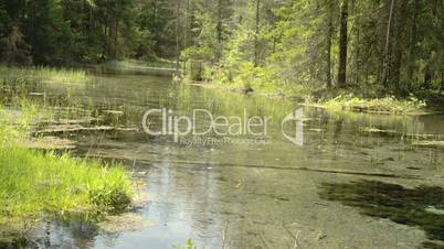 Clear water flowing on the spring FS700 4K Odyssey7Q