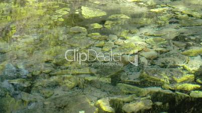 Spring water with mossy rocks underneath FS700 4K Odyssey7Q