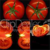 tomatoes collage