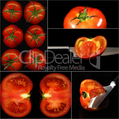 tomatoes collage