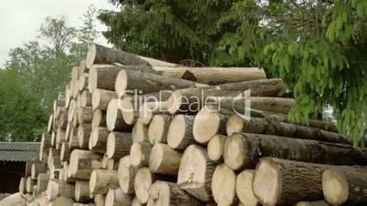 Heap of piled logs  FS700 4K Odyssey7Q