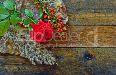 Red rose and foliage on wooden table