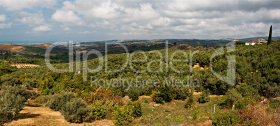 Panoramic view over open countryside