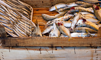 Various freshly caught fish on sale