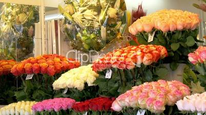 Colorful tulips displayed on the flower shop GH4 4K UHD