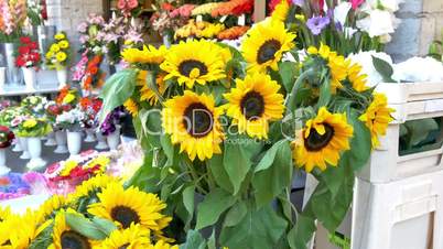 Yellow sunflowers on display in a flower shop GH4 4K UHD