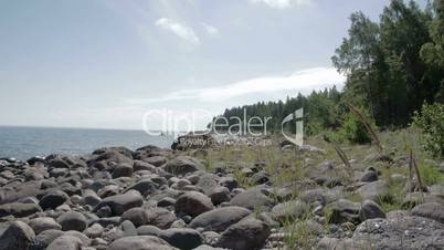 The rocky shore of the sea near the forest with lots of trees FS700 Odyssey 7Q 4K