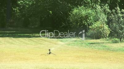A grass sprinkler putting some water on the bermuda grass FS700 Odyssey 7Q 4K