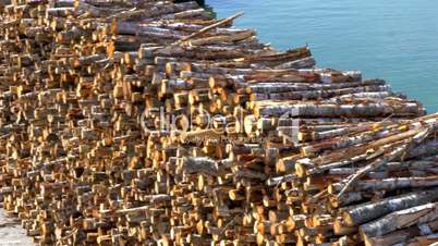 Heap of pulpwood for fire on display on the harbour of Estonia GH4 4K