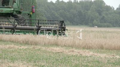 A wheat harvester machine rolling on the field