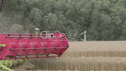 A wheat harvester harvesting crops on the field