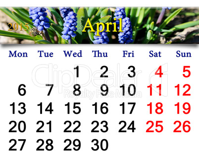 calendar for May of 2015 year with muscari