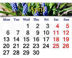calendar for May of 2015 year with muscari