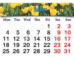 calendar for May of 2015 year with yellow tulips