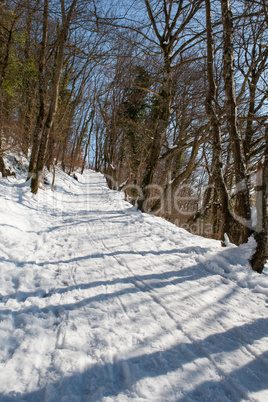 Verschneiter Waldweg