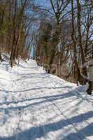 Verschneiter Waldweg