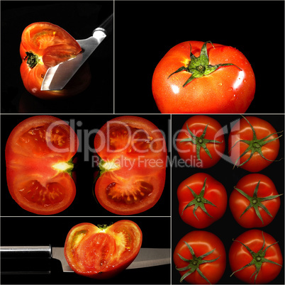 tomatoes collage