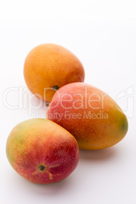 Three Ripe Mangos, Mangifera indica, On White