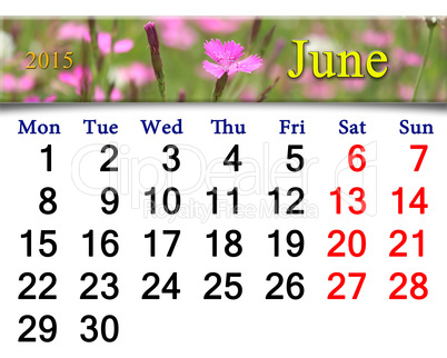 calendar for June of 2015 year with image of wild carnation