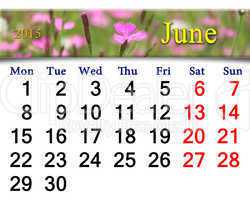 calendar for June of 2015 year with image of wild carnation