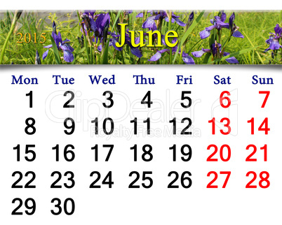 calendar for May of 2015 year with image of blossoming iris