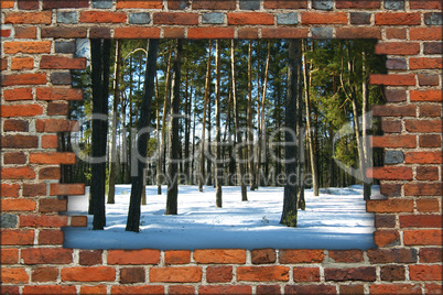 Wall from the red brick