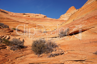 The Wave, Vermilion Cliffs National Monument, Arizona, USA