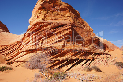 The Wave, Vermilion Cliffs National Monument, Arizona, USA