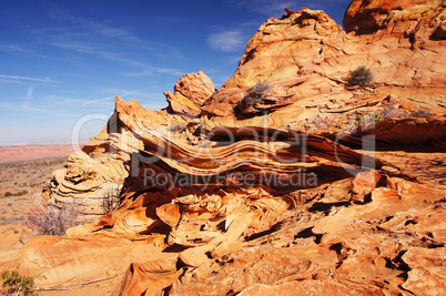 The Wave, Vermilion Cliffs National Monument, Arizona, USA