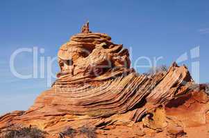 The Wave, Vermilion Cliffs National Monument, Arizona, USA