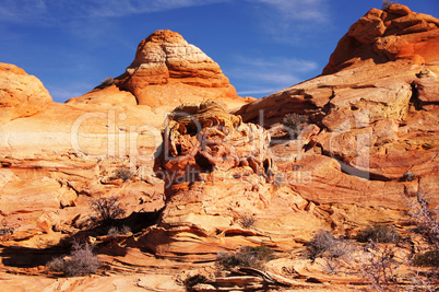 The Wave, Vermilion Cliffs National Monument, Arizona, USA