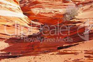 The Wave, Vermilion Cliffs National Monument, Arizona, USA