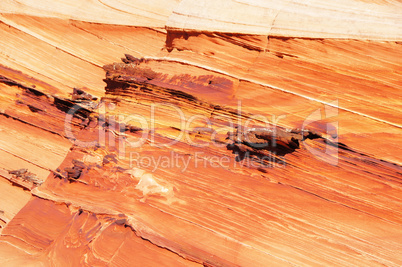 The Wave, Vermilion Cliffs National Monument, Arizona, USA