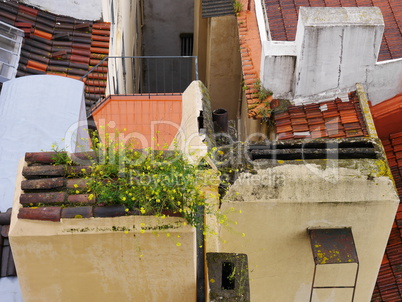 Altstadt von Lissabon