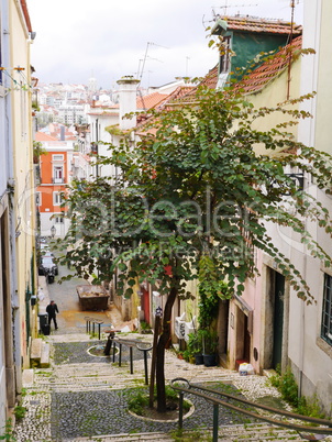 Altstadtgasse mit Baum