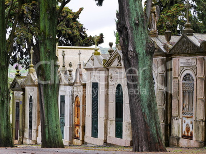 Friedhof der Freuden in Lissabon