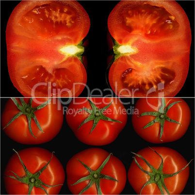 tomatoes collage