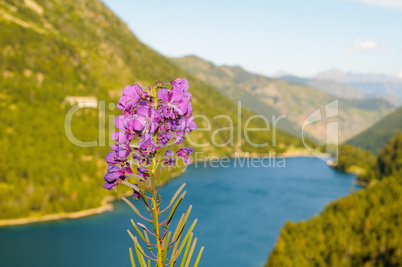 Sant Maurici Lake