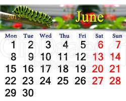 calendar for June of 2015 year with caterpillar
