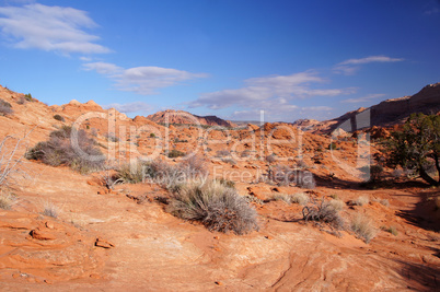 Vermilion Cliffs National Monument, Arizona, USA