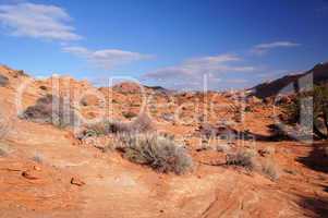 Vermilion Cliffs National Monument, Arizona, USA