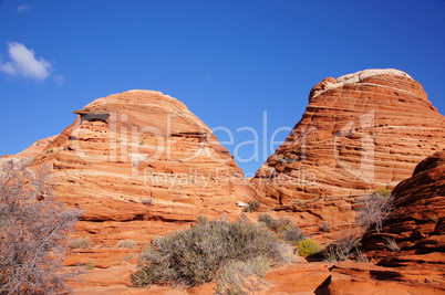 The Wave, Vermilion Cliffs National Monument, Arizona, USA