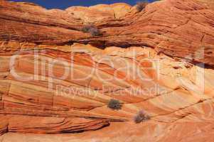 The Wave, Vermilion Cliffs National Monument, Arizona, USA