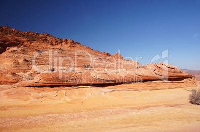 The Wave, Vermilion Cliffs National Monument, Arizona, USA