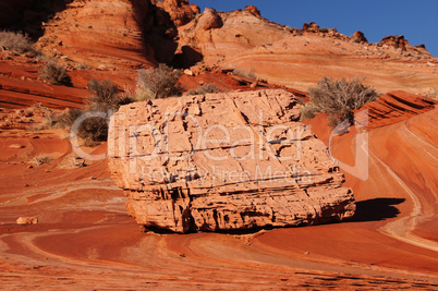 The Wave, Vermilion Cliffs National Monument, Arizona, USA