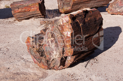 Petrified-Forest-National-Park, Arizona, USA