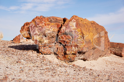 Petrified-Forest-National-Park, Arizona, USA