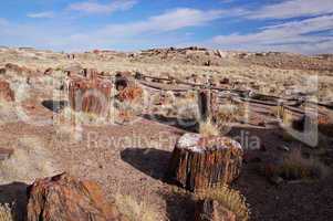 Petrified-Forest-National-Park, Arizona, USA